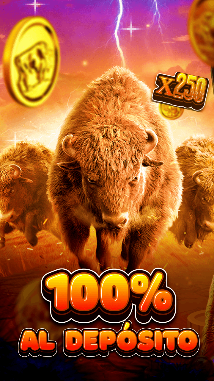 Casino Argentina Screenshot